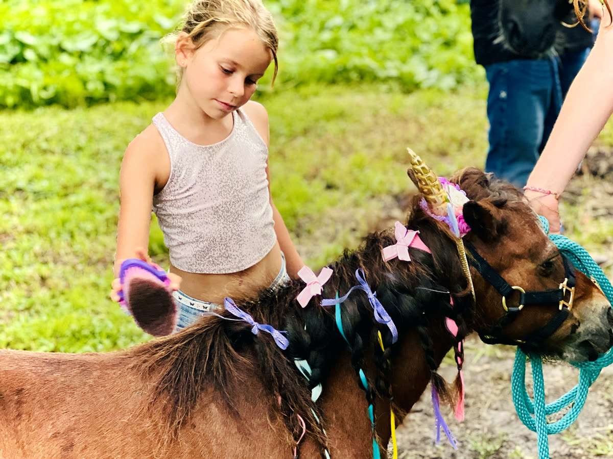 A girl brushing a pony dressed as a unicorn, with a gold horn and pastel ribbons braided into its mane
