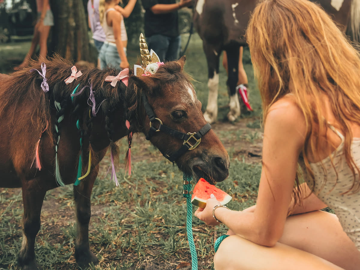 A boy holding a lead rope beside a chestnut pony wearing a red bandana